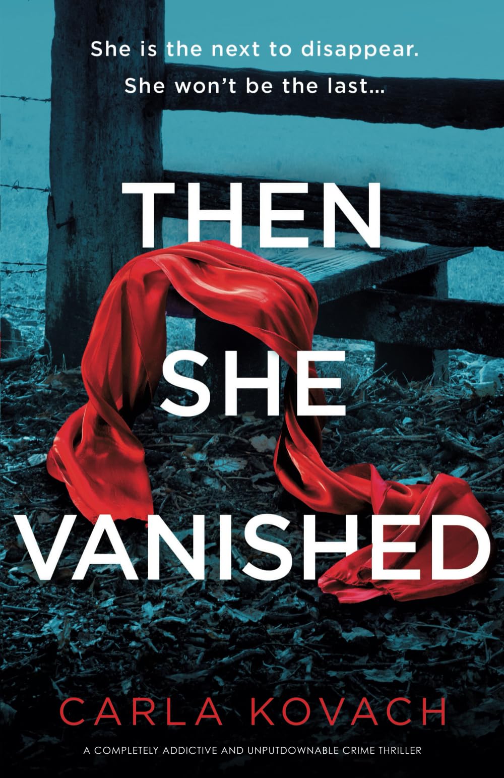 Then She Vanished: A completely addictive and unputdownable crime thriller: 17 (Detective Gina Harte)