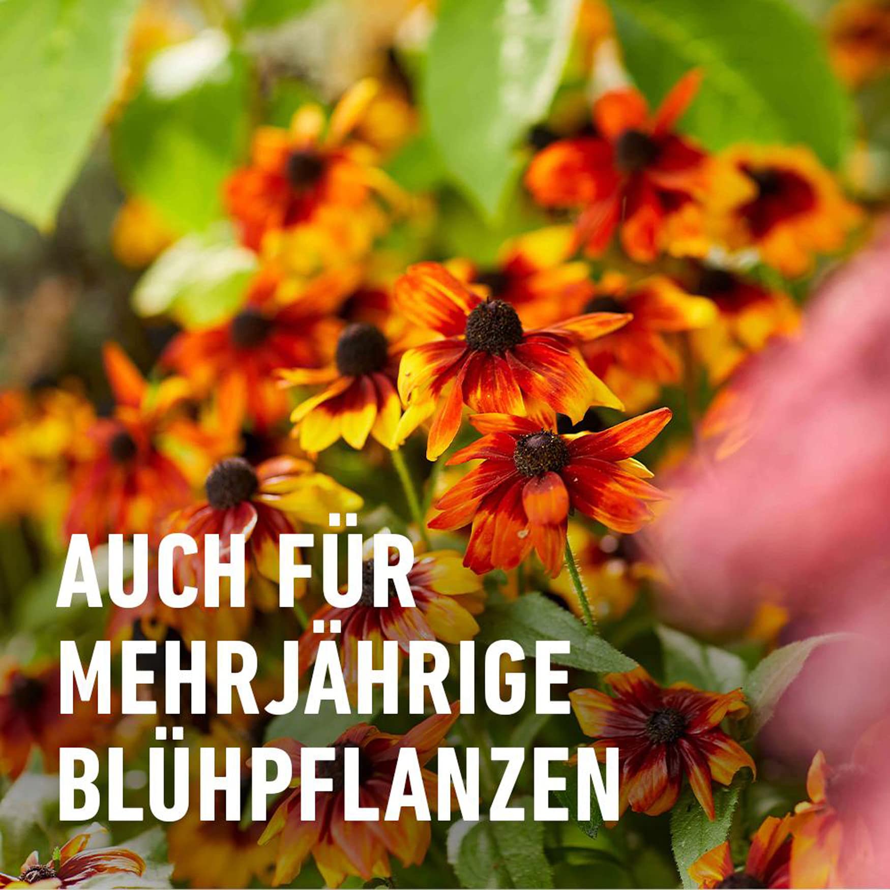 künstliche pflanzen uv beständig Künstliche Prunus Hecke - Nisa | 135x120 cm