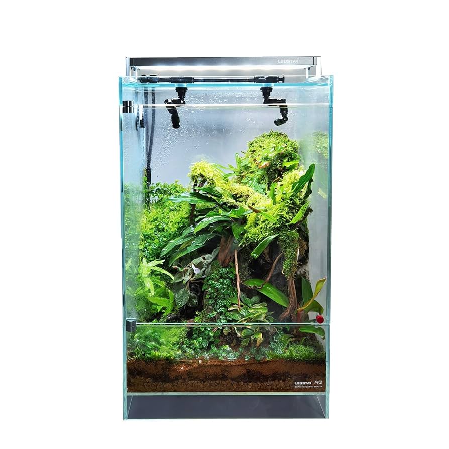 Amazon.co.jp: LEDSTAR インフィニティ ハイラエア テラリウム
