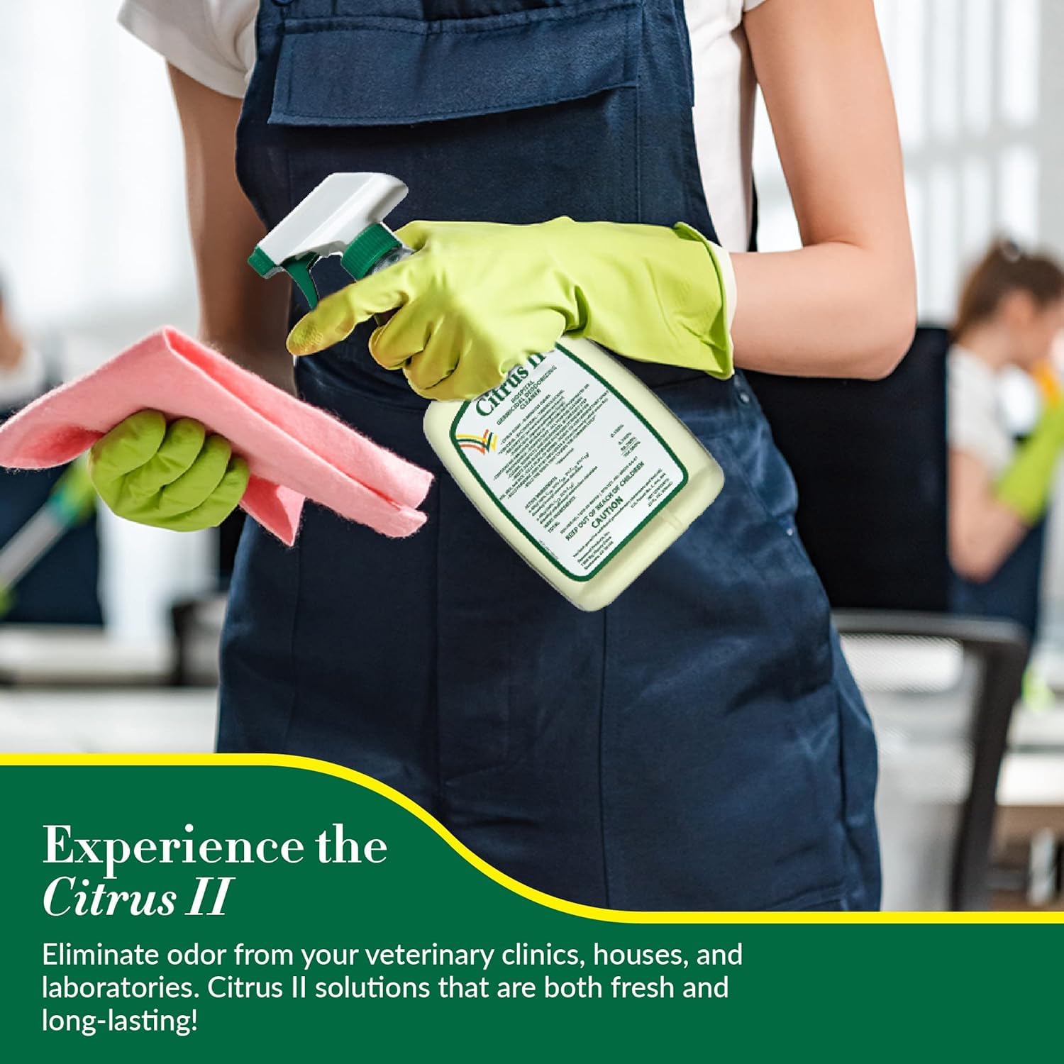 Amazon.com: Citrus II Hospital Germicidal Deodorizing Cleaner