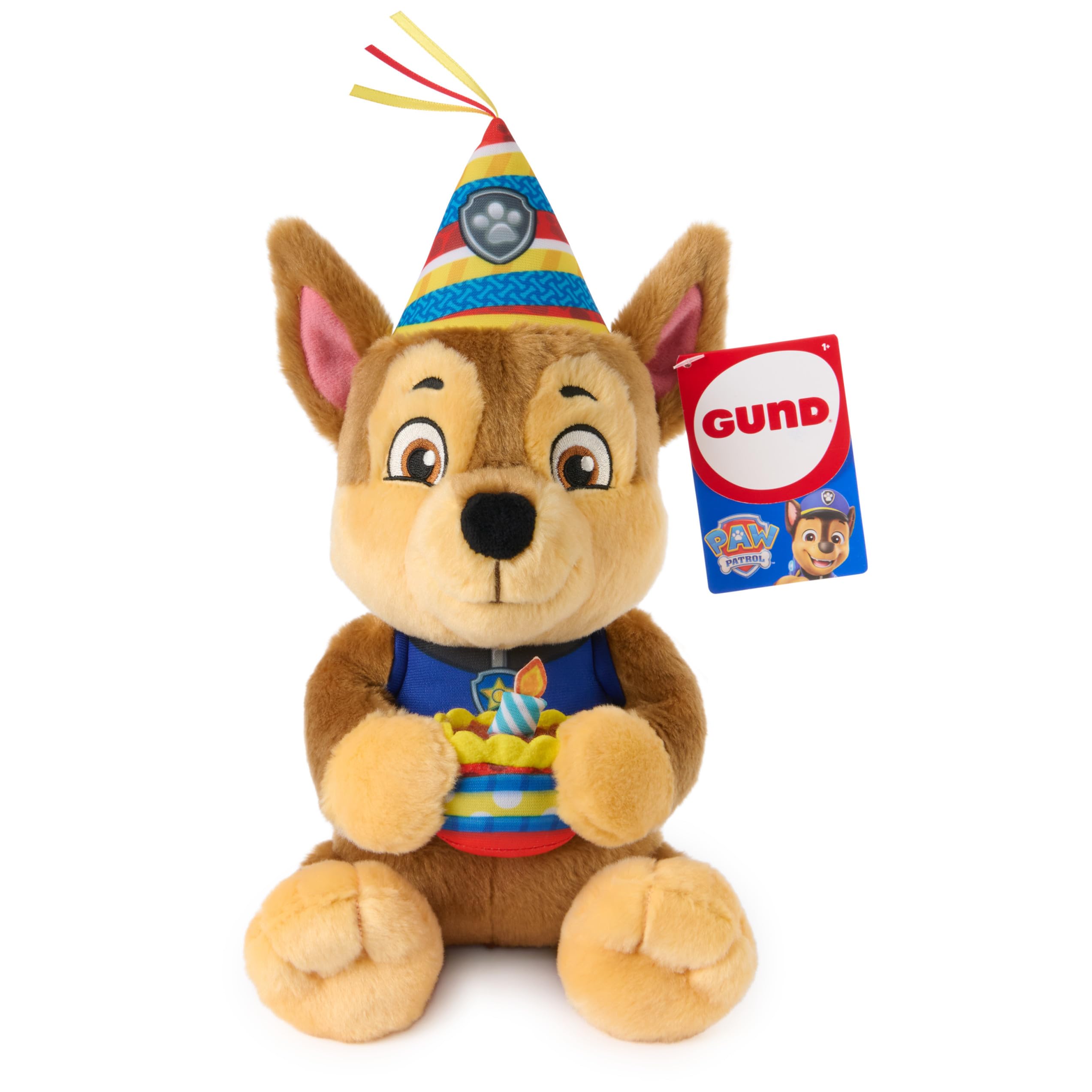 Paw Patrol Birthday Chase