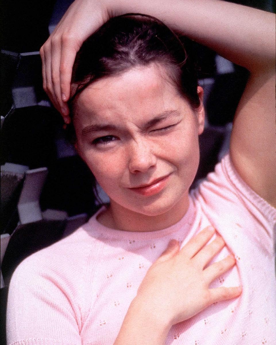 worldphotographs Bjork Björk 10x8 Photo