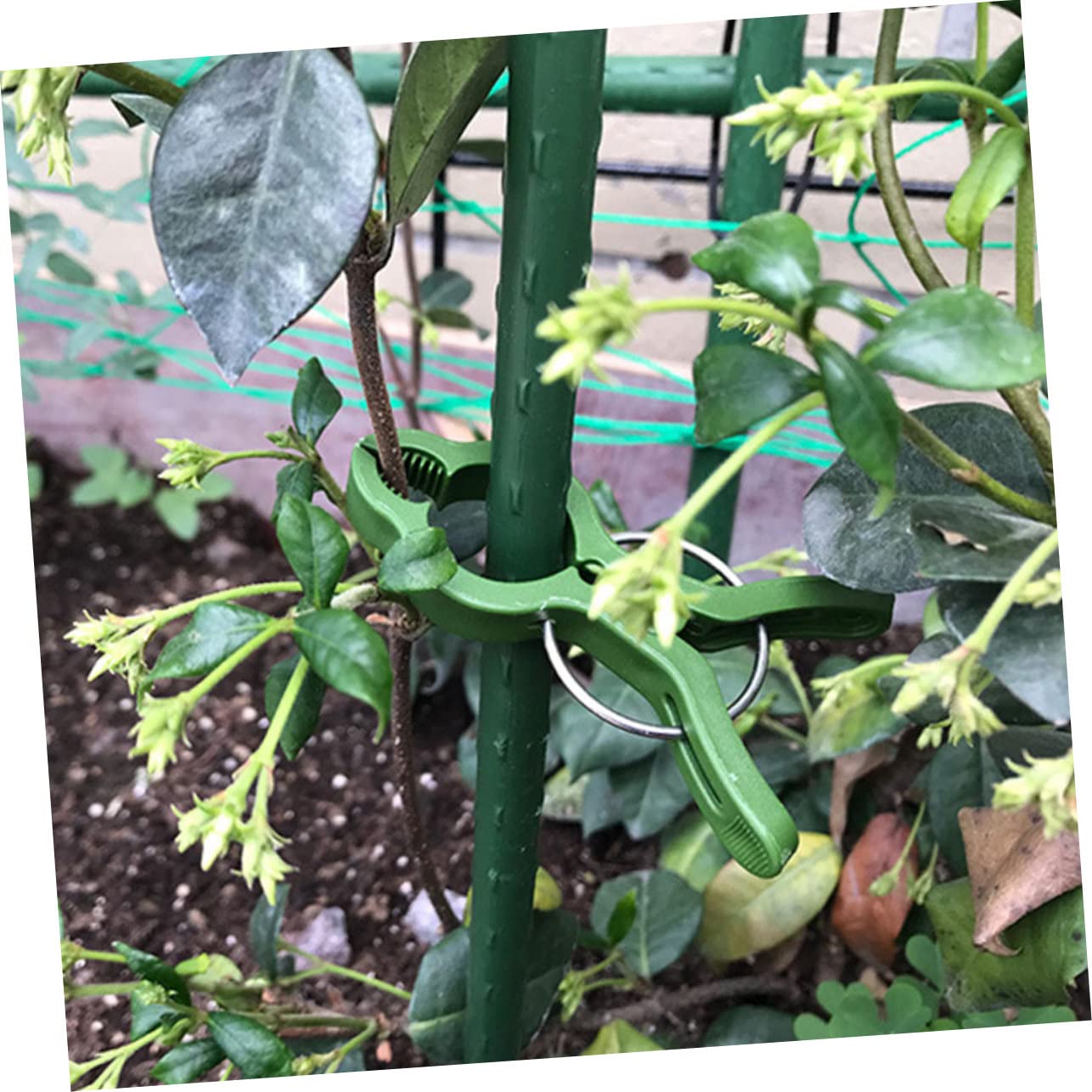 UKCOCO 4 Set Clip Fissaggio Piante per Giardinaggio E Facili da Installare E Riutilizzabili 10 Pezzi*4