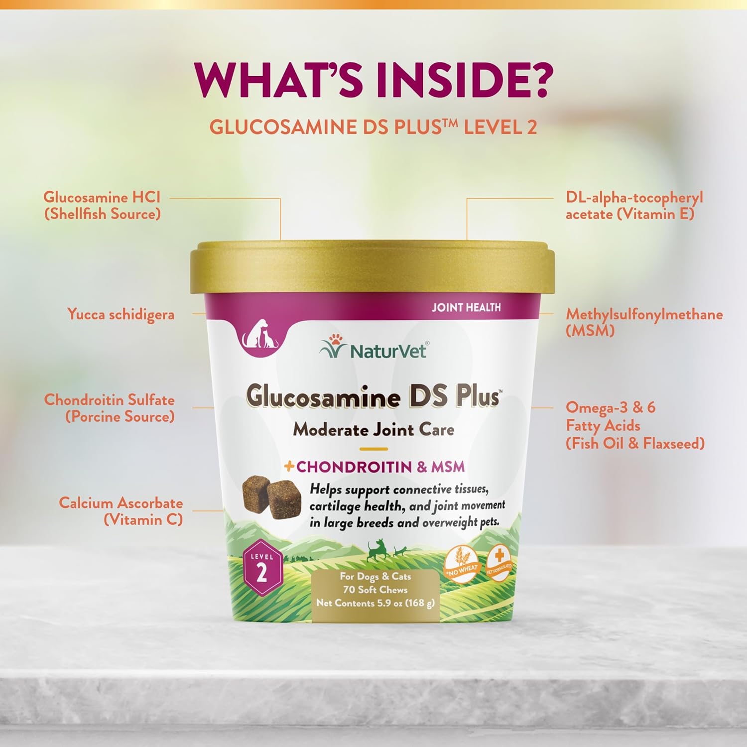 NaturVet – Glucosamine DS Plus - Level 2 Moderate Care – Supports Healthy Hip & Joint Function – Enhanced with Glucosamine, MSM & Chondroitin – for Dogs & Cats–70 Soft Chews