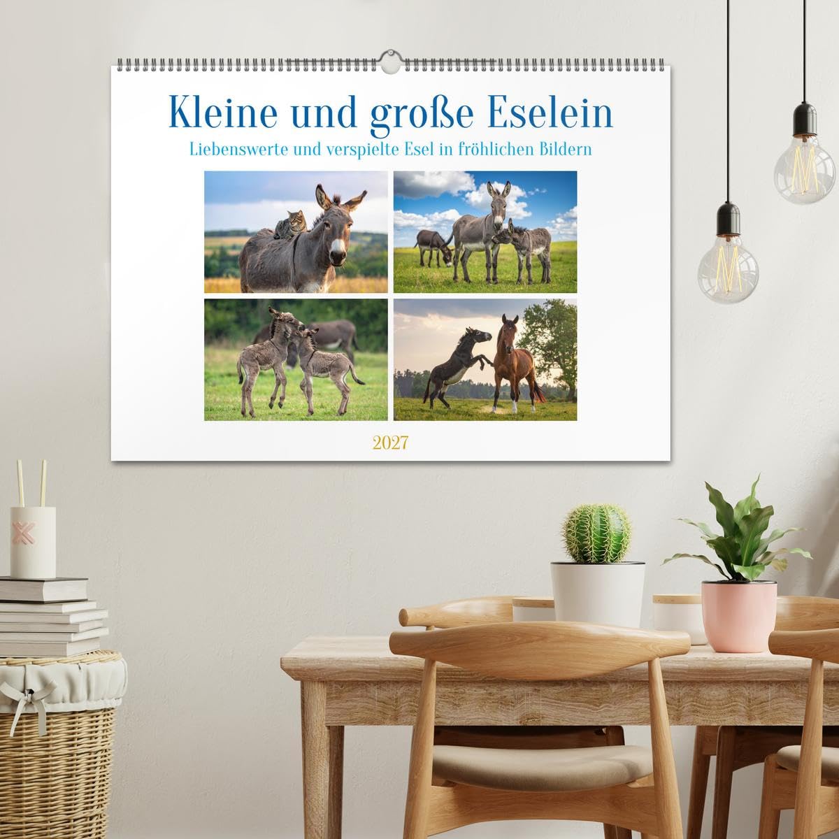 Kleine und große Eselein (Wandkalender 2027 DIN A2 quer), CALVENDO Monatskalender: Weiche Ohren, sanfte Seelen, lustige Stimmung - so sind Esel (CALVENDO Tiere)