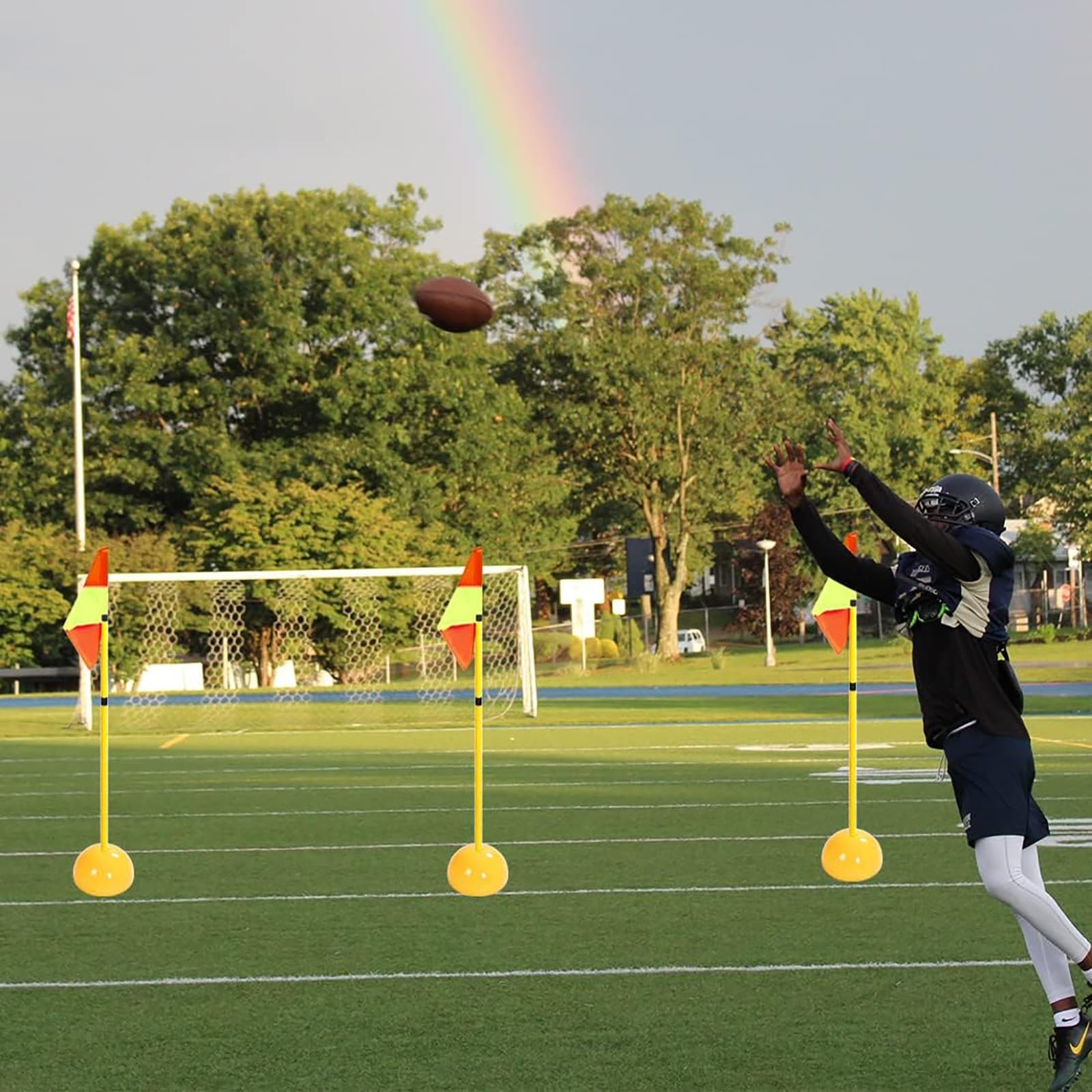 アジリティポール Amazon.co.jp: 屋外用アジリティポール5本セット、取り外し可能