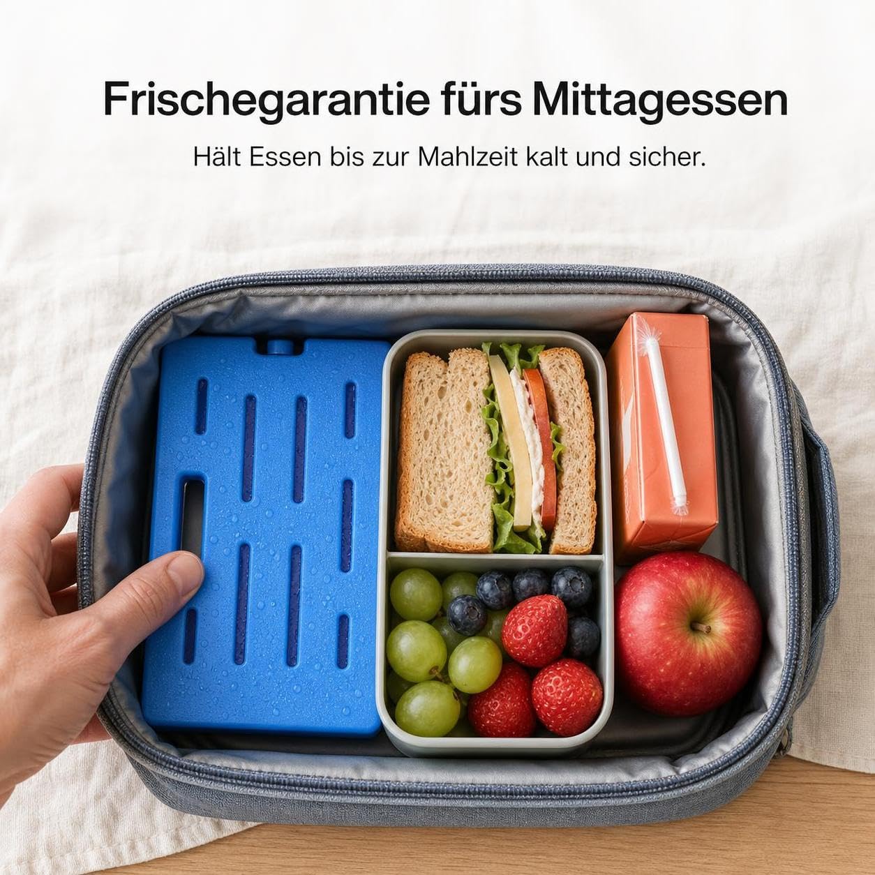 Kühlakku mit 2000ml | Kühlelemente für Transport von Lebensmitteln und Medikamenten | für Kühlboxen | für Camping