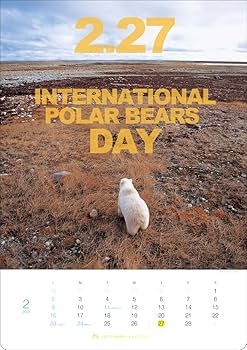 2025サマーセールしろくま 2025年製 日立エアコン白くまくん 6畳用 | 日テレポシュレ本店 日本