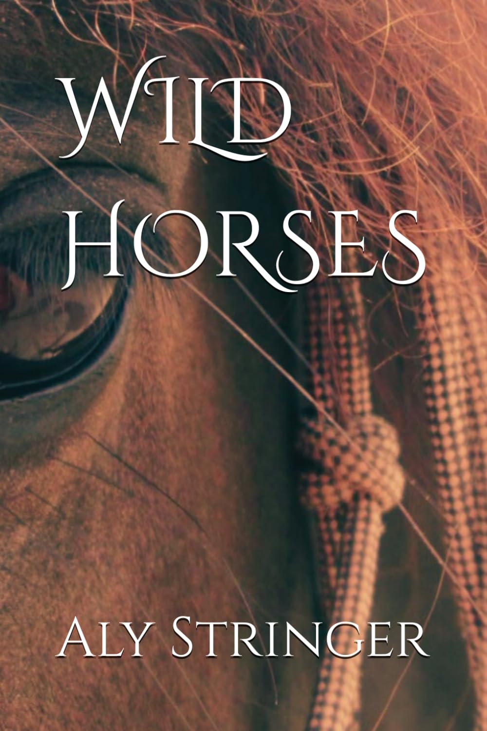 WILD HORSES