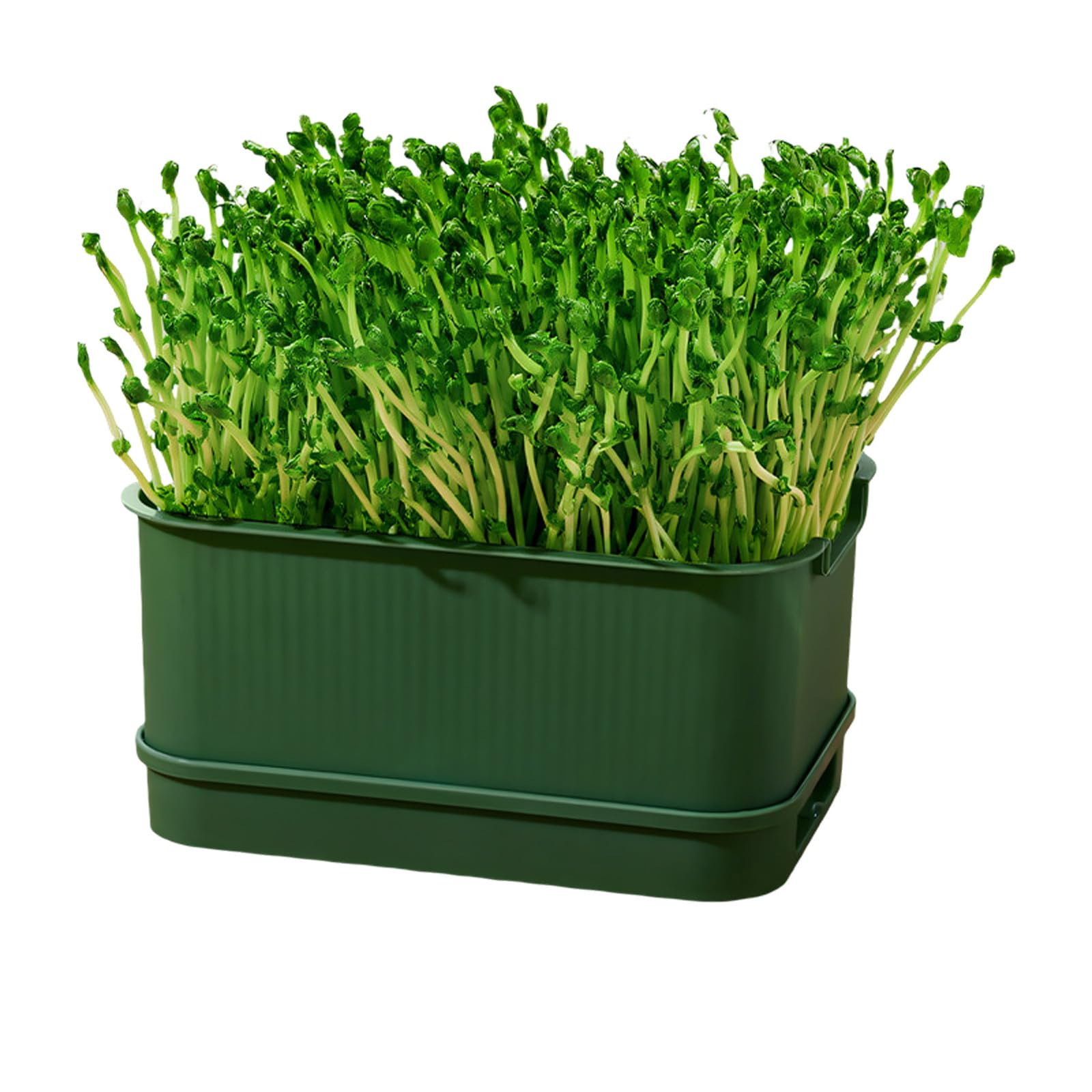 Ljhnba D Seedling Sprouts Tray Nursery Tray Saving Space Greenhouse Germination Set For Sprouts Planting Container Green Growing Hydroponic Sprouting
