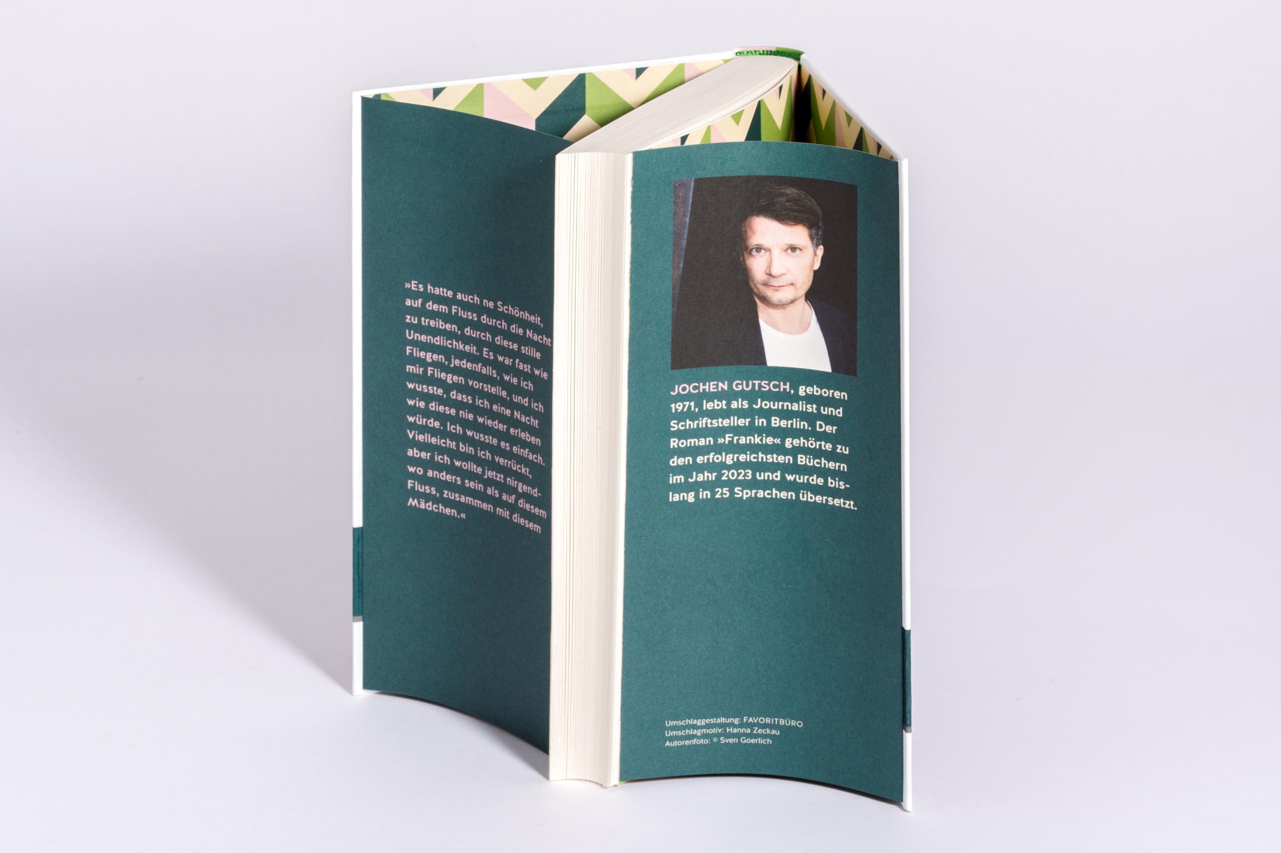 Frankie - Unter Menschen: Roman - Der SPIEGEL Bestseller Nr. 1: Ein kleiner Kater eroberte die Herzen der Leser auf der ganzen Welt. Endlich kehrt Frankie zurück!: 2