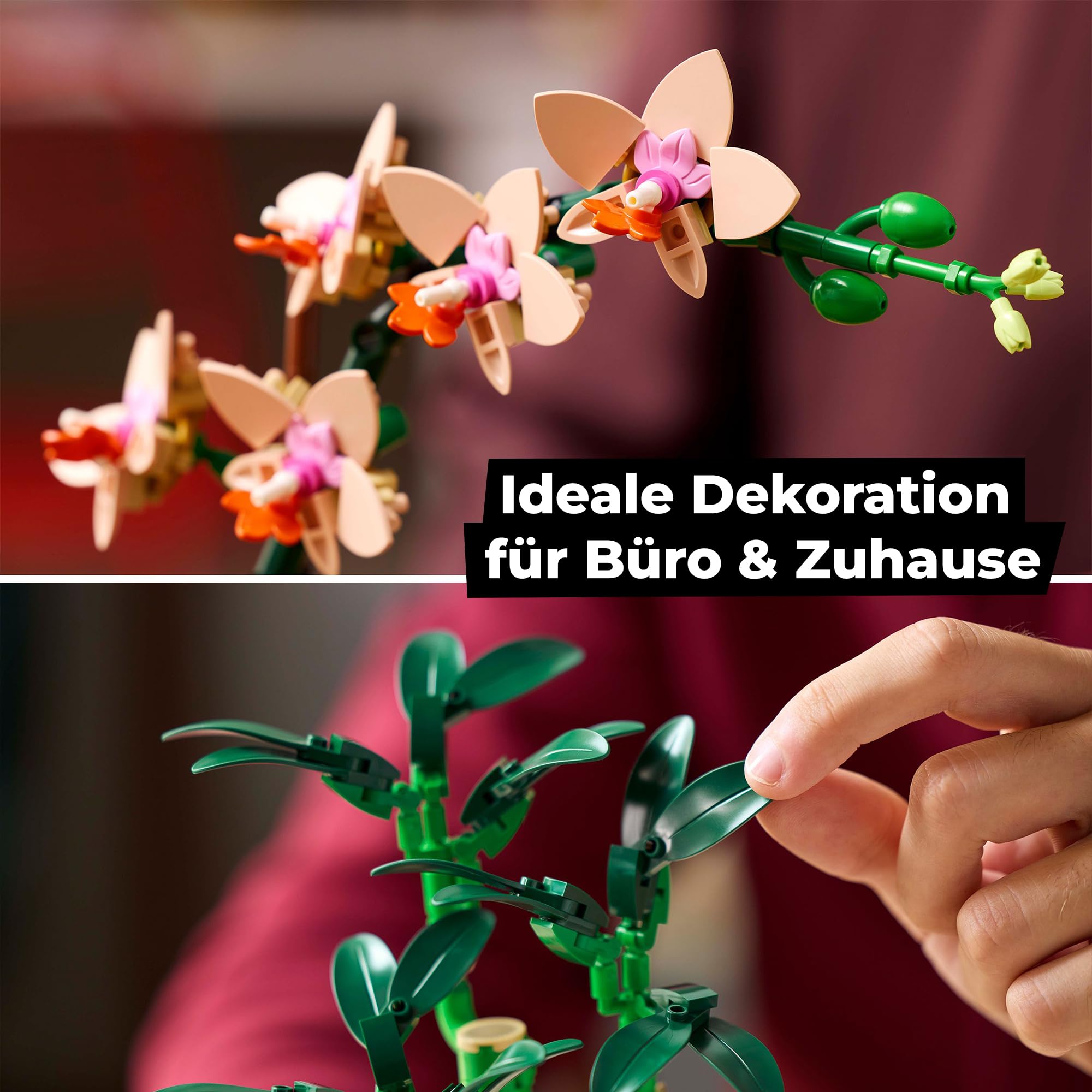 Lego Mini Orchid & Lucky Bamboo: Lego Flowers Novelties Combi - Two Icons Plants as Room Decoration, Botanical Collection, Orchid Flower for Adults (10343, 10344) - Image 3