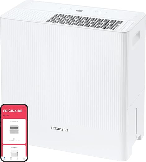 Best Dehumidifiers for Basements and Damp Rooms