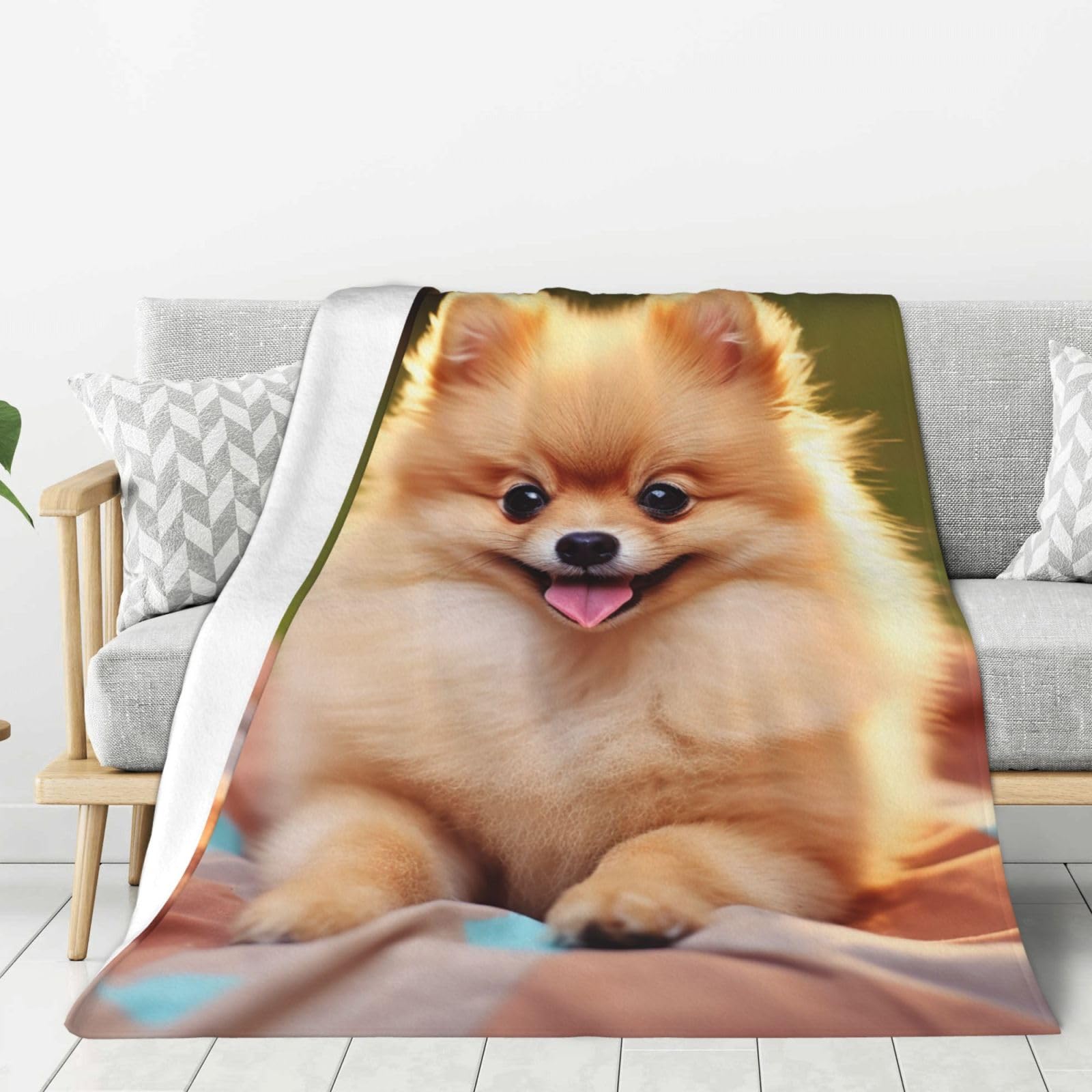 Short-Haired Pomeranian Throw Blanket Plush Flannel Fleece Blanket, Soft Lightweight Cozy Blankets 50"X40" for Bed Couch Sofa Travel