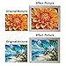 Funny Color French Bull Dog Diamond Art Painting Kits for Adults 5D Diamond Art Easy for Beginner Round Full Drill Cross Stitch Mosaic Gems Craft for Hobby and Home Decor 30x40cm(a1)
