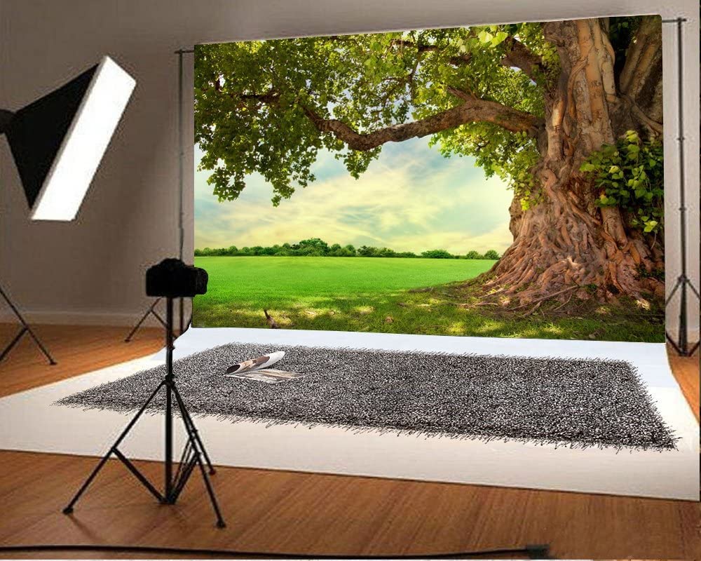 Sfondo Fotografico 3x2.5m Prato E Albero Per Picnic | Vinile HD Per Ritratti