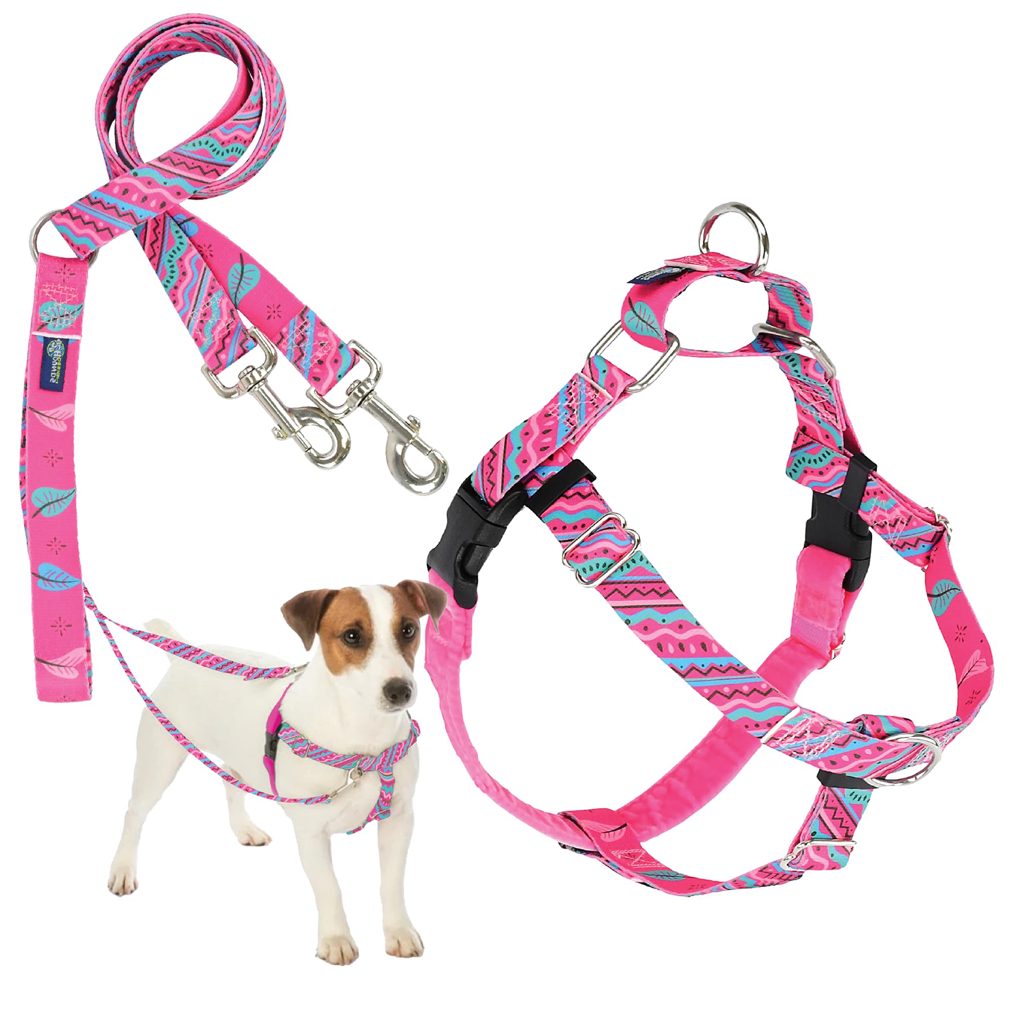 2 Hounds Design Freedom No Pull Dog Harness and Leash | Adjustable Gentle Comfortable Control for Easy Dog Walking |for Small Medium and Large Dogs | EarthStyle Designs | Made in USA — image 1