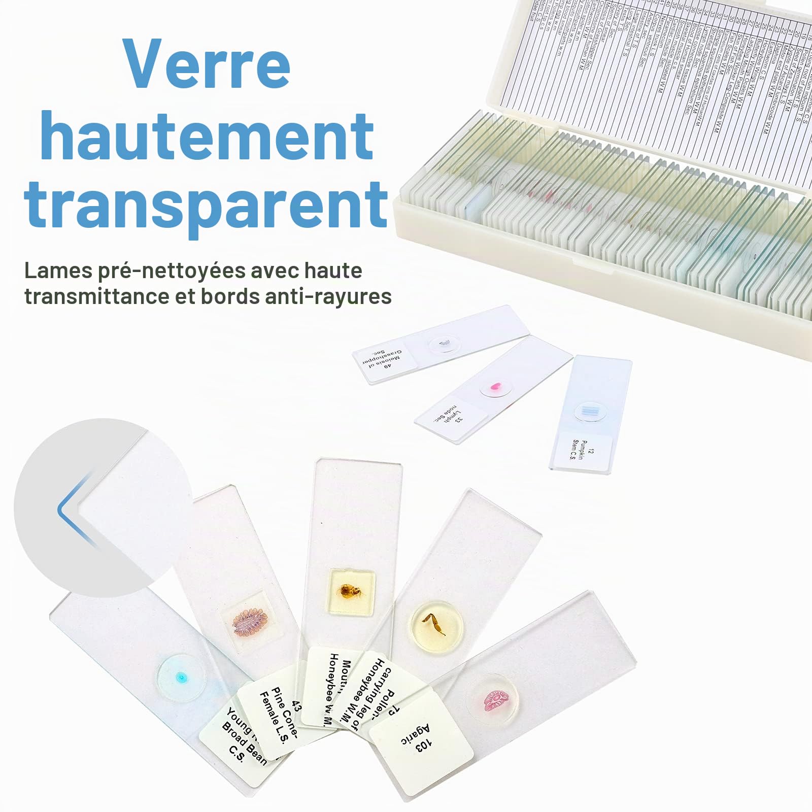 60 Lamelles de Microscope Préparées avec Spécimens Biologiques, Insectes, Plantes, Cellules Humaines