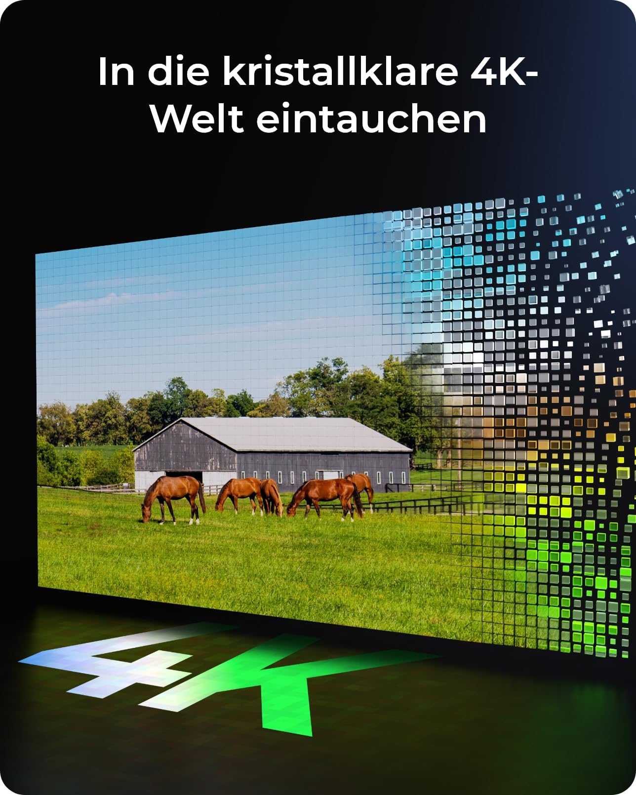 Reolink 4K 4G LTE Überwachungskamera mit SIM Karte, 8MP Solar Kamera Outdoor ohne WLAN, Person/Auto/Haustiererkennung, PIR Bewegungsmelder, IR-Nachtsicht, microSD-Kartenslot, Go Ultra+6W Solarpanel
