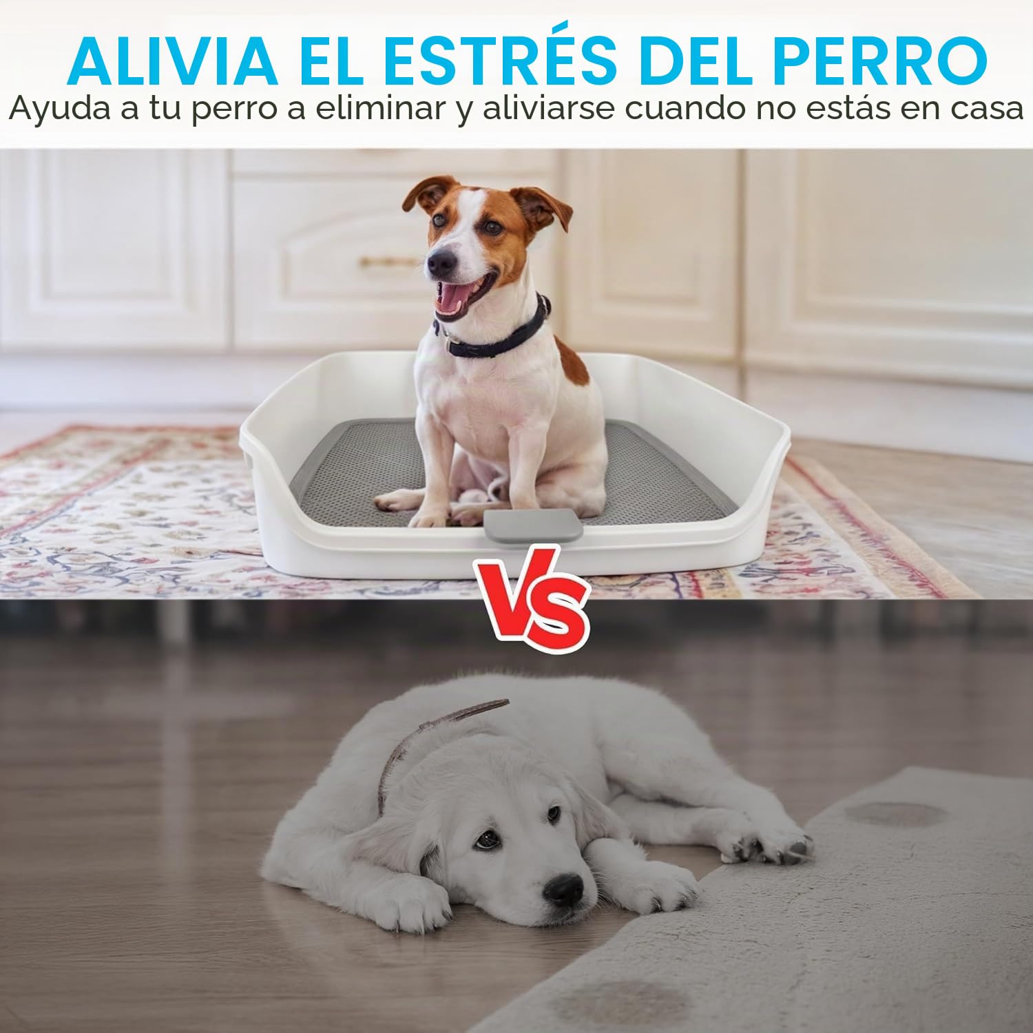 All For Paws Bandeja para orinal con poste extraíble y pared de protección, 63 x 63 cm, rejilla de malla grande, inodoro desmontable para cachorros
