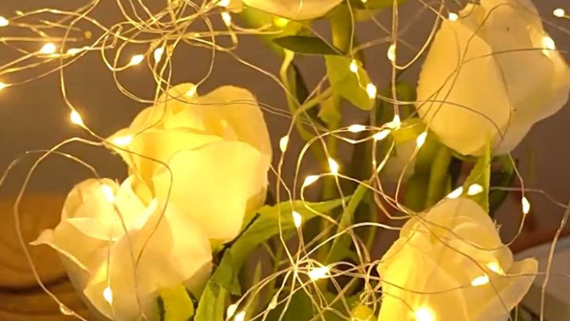 Luci solari a catena - 2 luci per esterni, filo di rame, impermeabili, 7 metri per catena, 50 LED (luci colorate) | Leroy Merlin