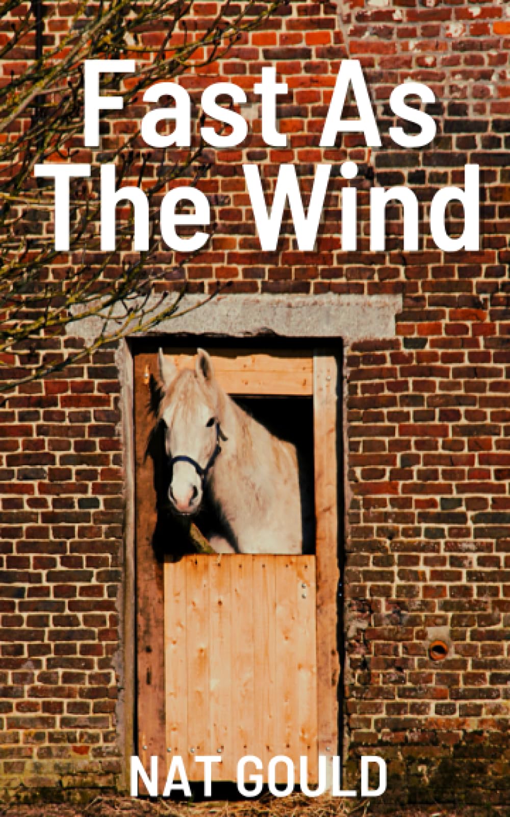 Fast as the Wind: 1918 Classic Horse Racing Revenge Novel (Annotated)