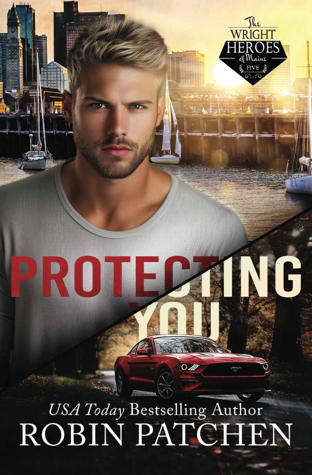 Protecting You: Schemes and Lies in Shadow Cove: 5 (The Wright Heroes of Maine)