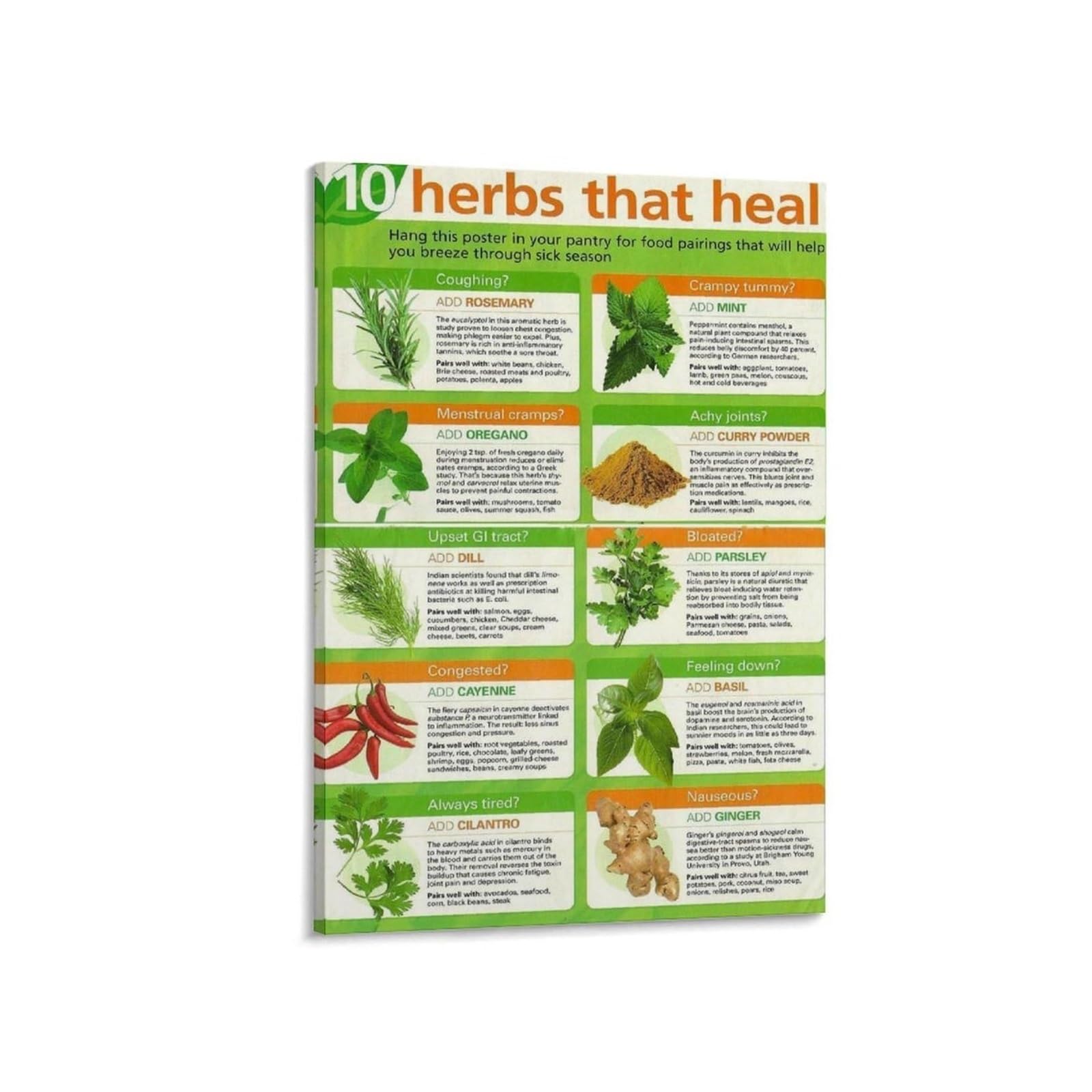 PKNVKZIDK Herbs for Wellness Poster Common Medicinal Plants Identification Chart Canvas Wall-Art for Spa Bathroom Office Decor Modern Botanical Print(Framed,16X24inch(40X60cm))