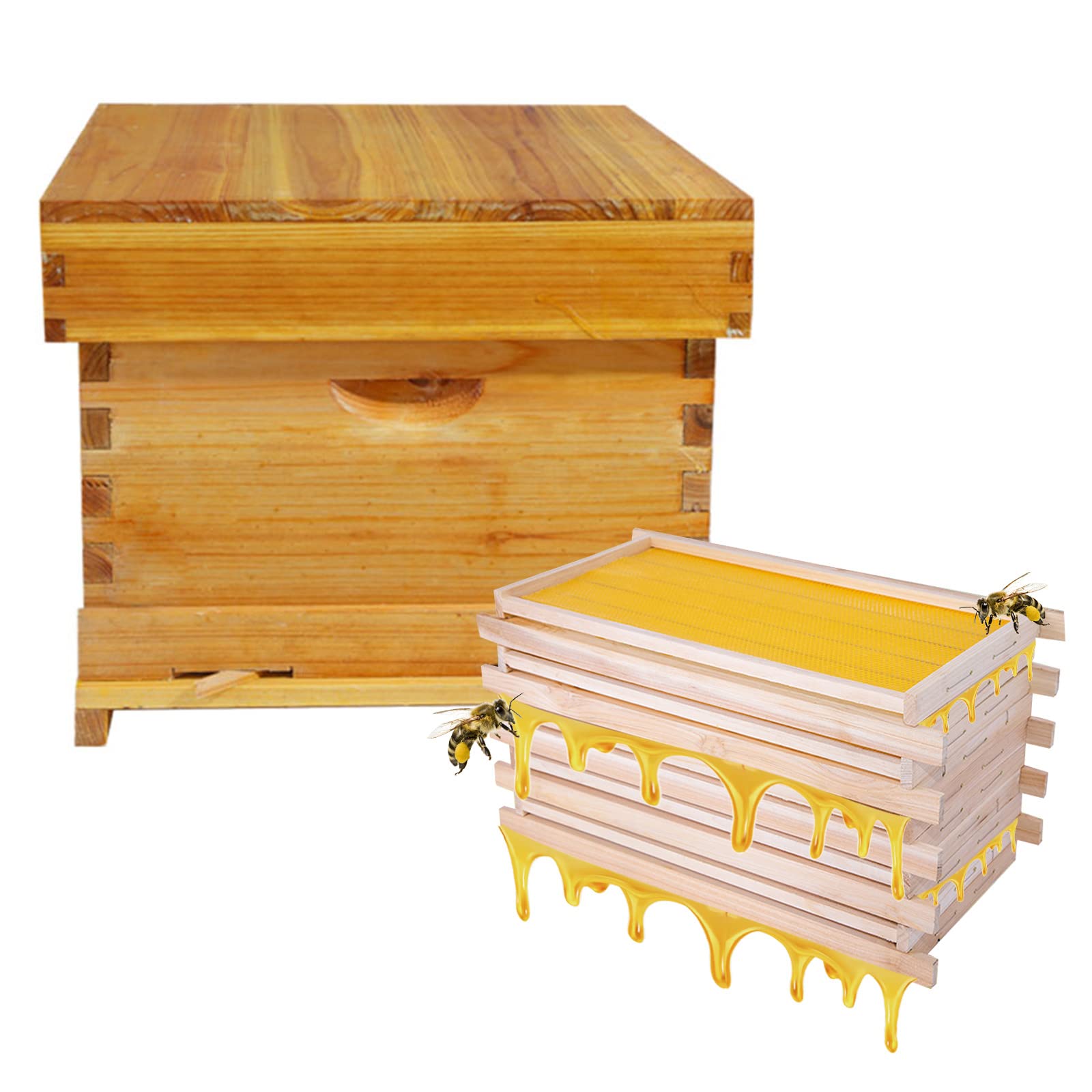 Buy ZYB 10 Frame Bee Hive Complete Beehive Kit, Beeswax Coated Bee