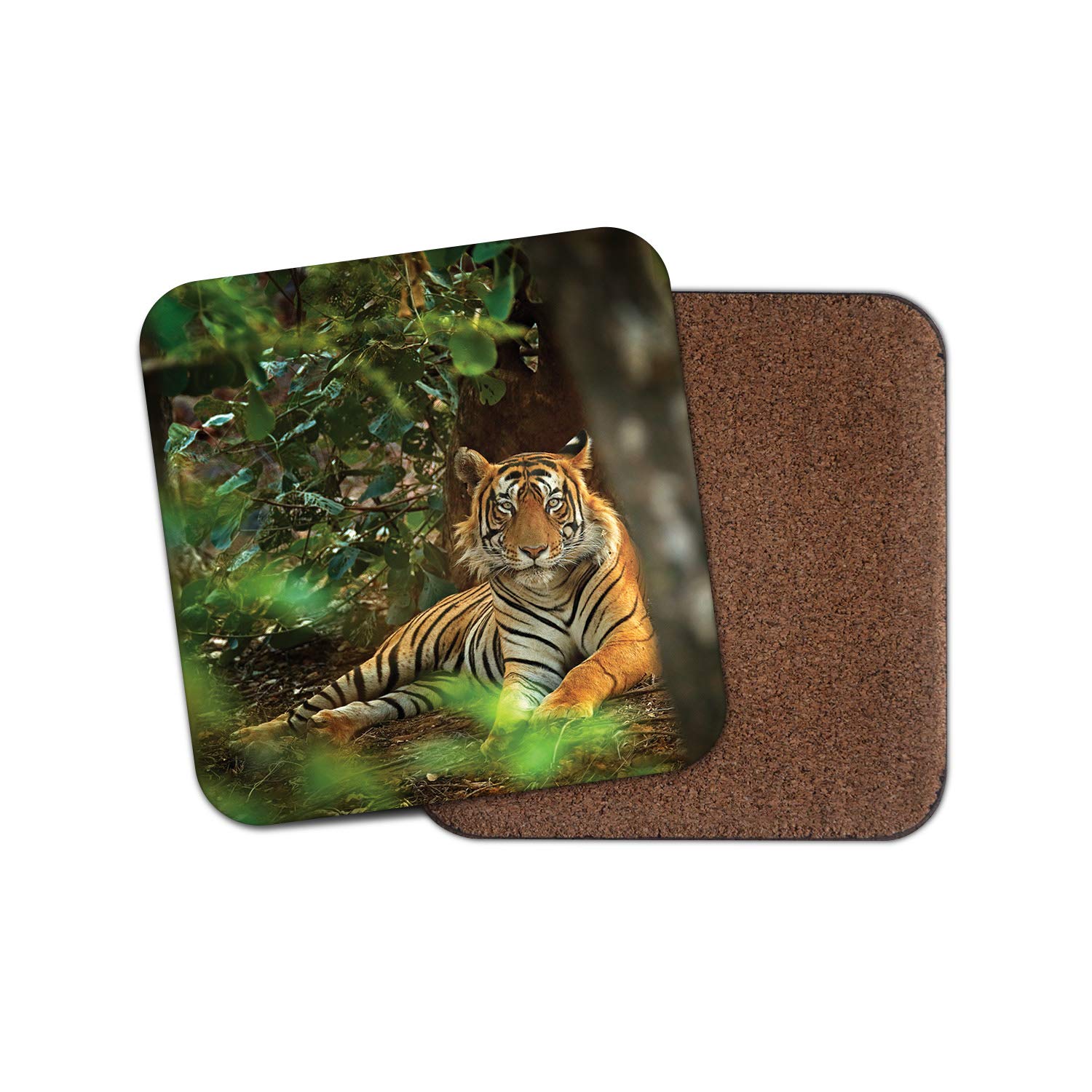 Destinationvinyl Multicolor 1 X Beautiful Tiger Coaster - Big Cat Lion Animal Jungle Wild Fun #8842
