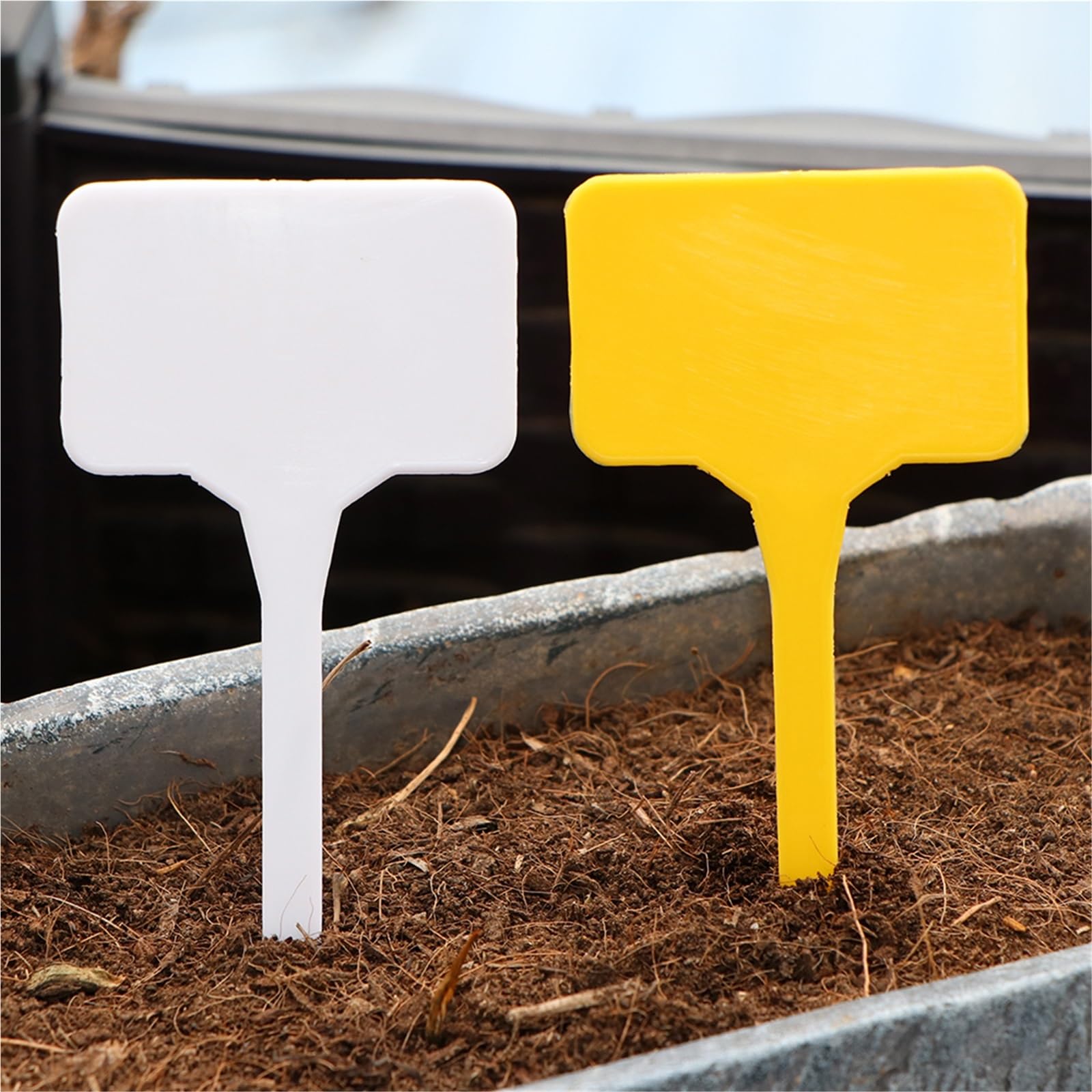 Etichette Per Piante 30 pezzi giallo e bianco 14,8x5,5 cm materiale etichetta pianta vivaio fiore impermeabile riutilizzabile carta di identificazione(B-WhiteX30pcs)