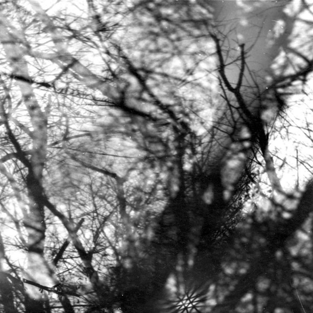 Way Their Crept [VINYL]