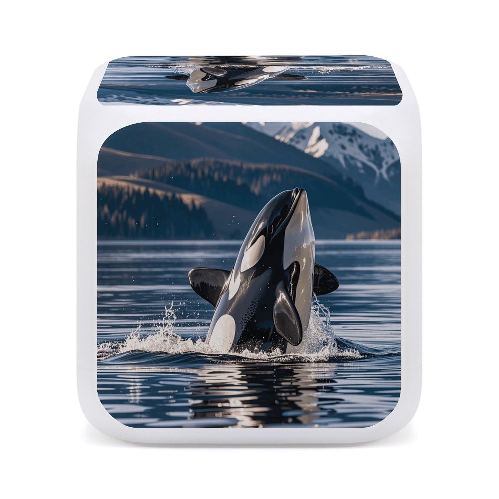 Amazon.com: FZQVSGW Orca Killer Whale Alarm Clock Led Display