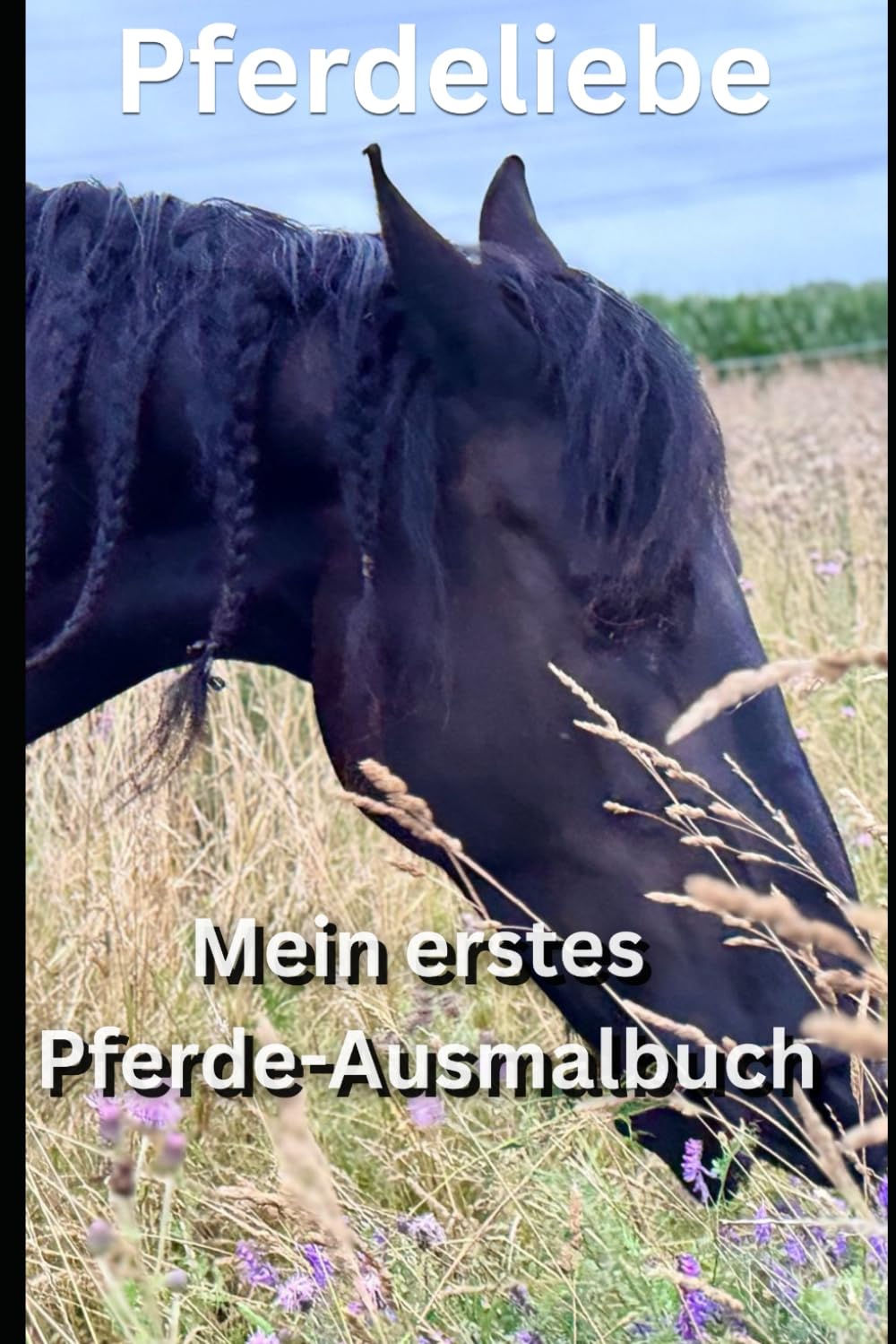 Mein erstes Pferde-Ausmalbuch: Süße Pferdemotive zum Ausmalen für Kinder