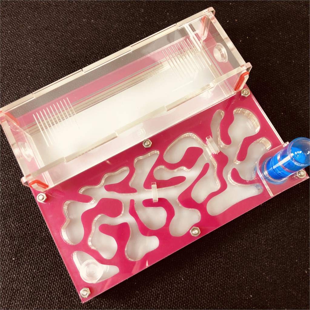 Ant Farm Educational formicarium for LIVE ants test tube Moisture big space Acrylic Ant Nest,Insect ants Villa House Ants Ecological Workshop (Pink)
