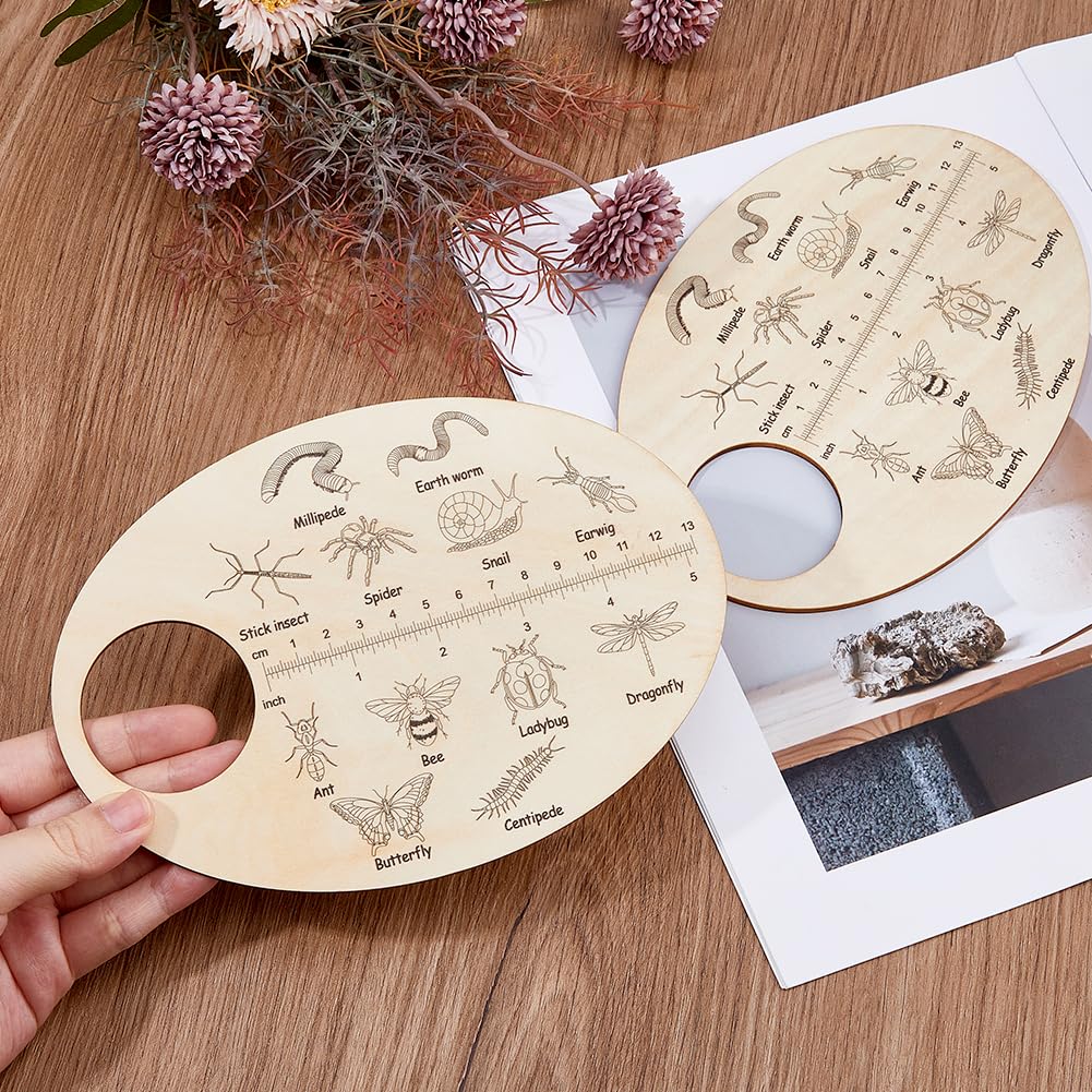 SUPERFINDINGS 2PCS Insect Wooden Custom Insects Exploration Board Educational Learning Gift Learning Insect Plywood Insects ID Search Board for Boys Girls 3-5 Early Education School - Image 3