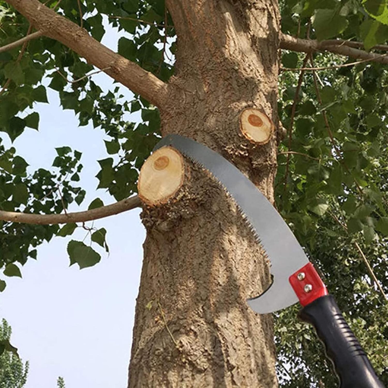 Seghe ad Asta manuali Taglia Alberi con Asta Regolabile, Sega ad Asta per potatrice Sega ad Asta Manuale allungabile per Alberi Lunghi Estensibile, Sega per potatura ad Asta (Dimensioni : 5.4m/18FT)
