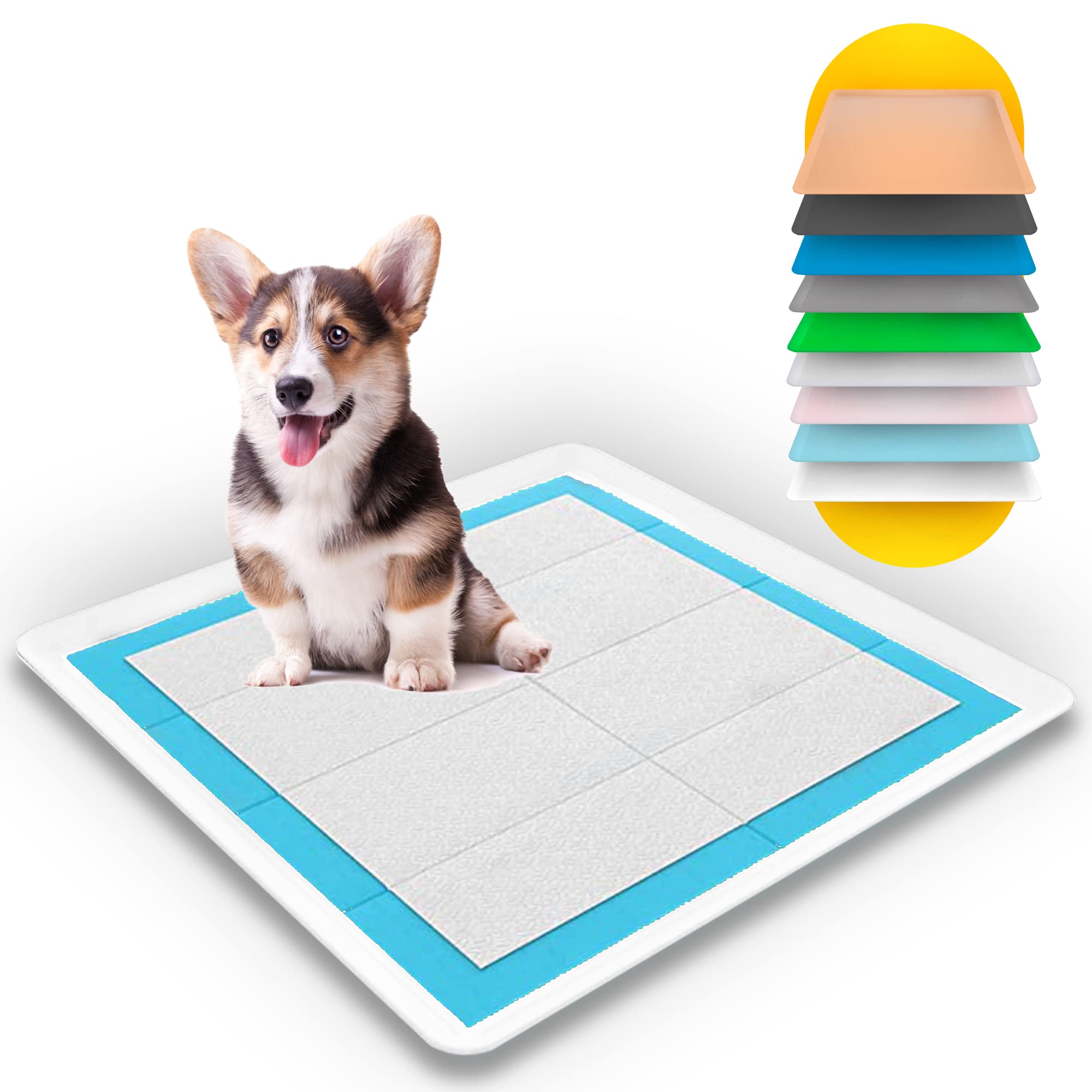 Why Are My Dogs Pads White