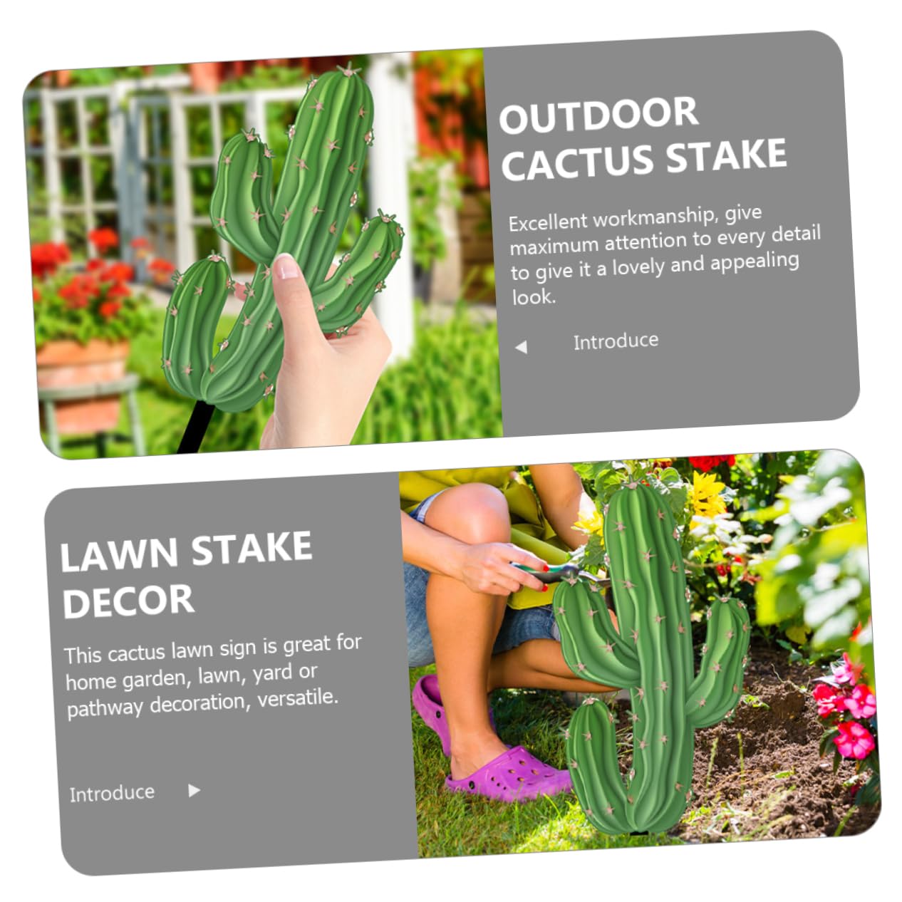 Décorations De Jardin Cactus En Acrylique - Lot De 3 Piquets Colorés - Pour Pelouse, Balcon, Extérieur