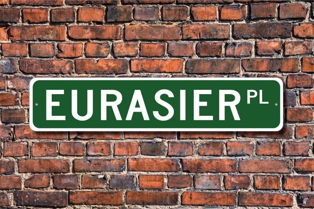 Tnnd Metal Sign Post Eurasier Sign Dog Lover Gift Dog Owner Sign Plaque Wall Home For Outdoor Indoor Use Yard Fence Street Sign 4X16 Inches