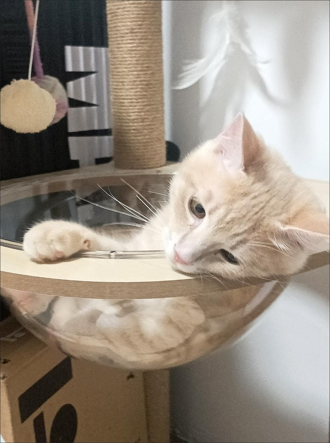 review Wooden Large Cat Tree Floor to Ceiling Cat Tower Height Adjustable， Floor to Ceiling cat Tree ， Space Capsule, Natural Sisal Rope Scratching Post, Cozy Bed (M)