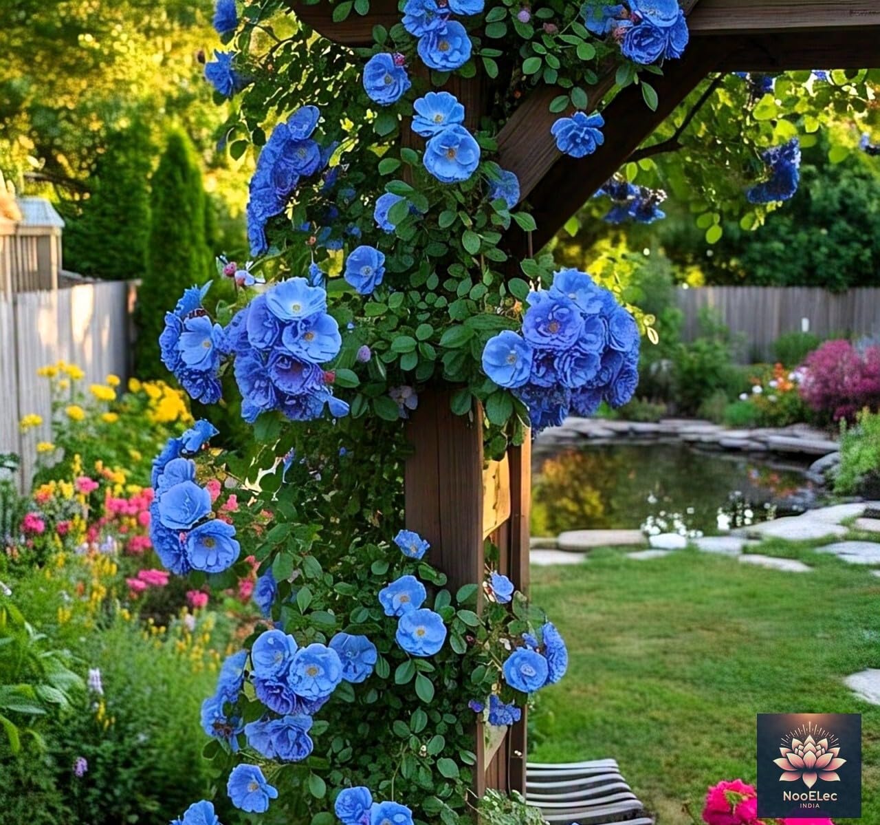 NooElec Seeds India Climbing Rose Flower Seeds, 60 Seeds Pack - Hybrid, Year-Round Blooms, Minimal Care (BLUE) - Image 2 thumbnail