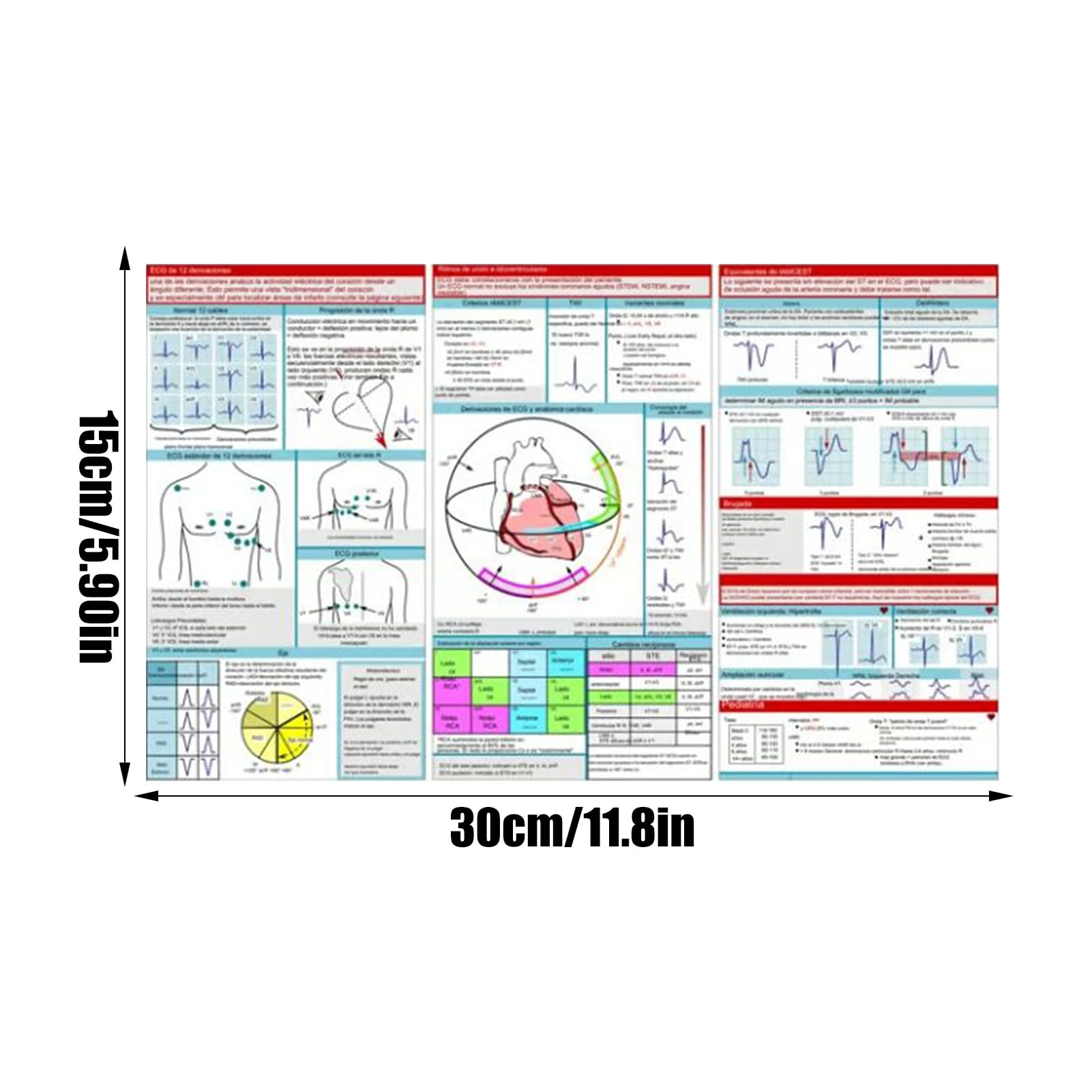 EKG Pocket Guide, Ecg Pocket Card, EKG Rhythmus Interpretation, Double Sided Compact & Portable Reference Card, Sanitäter Flash Cards, Rapid Interpretation EKG Pocket Nurses Guide