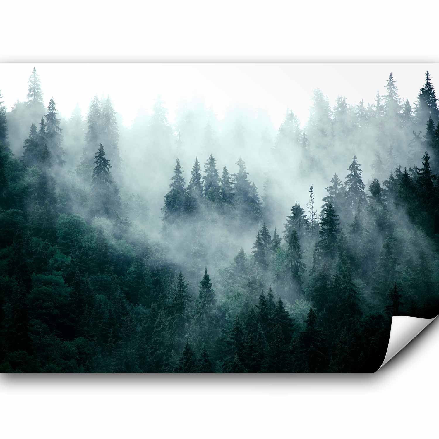 murando Fototapete selbstklebend Wald Nebel 490x350cm Foto Tapete Tapetenfolie Möbelfolie Wandverkleidung Wandtapete Motivtapeten Bildtapete Wohnzimmer 3d Effekt Modern Natur Landschaft skandinavisch