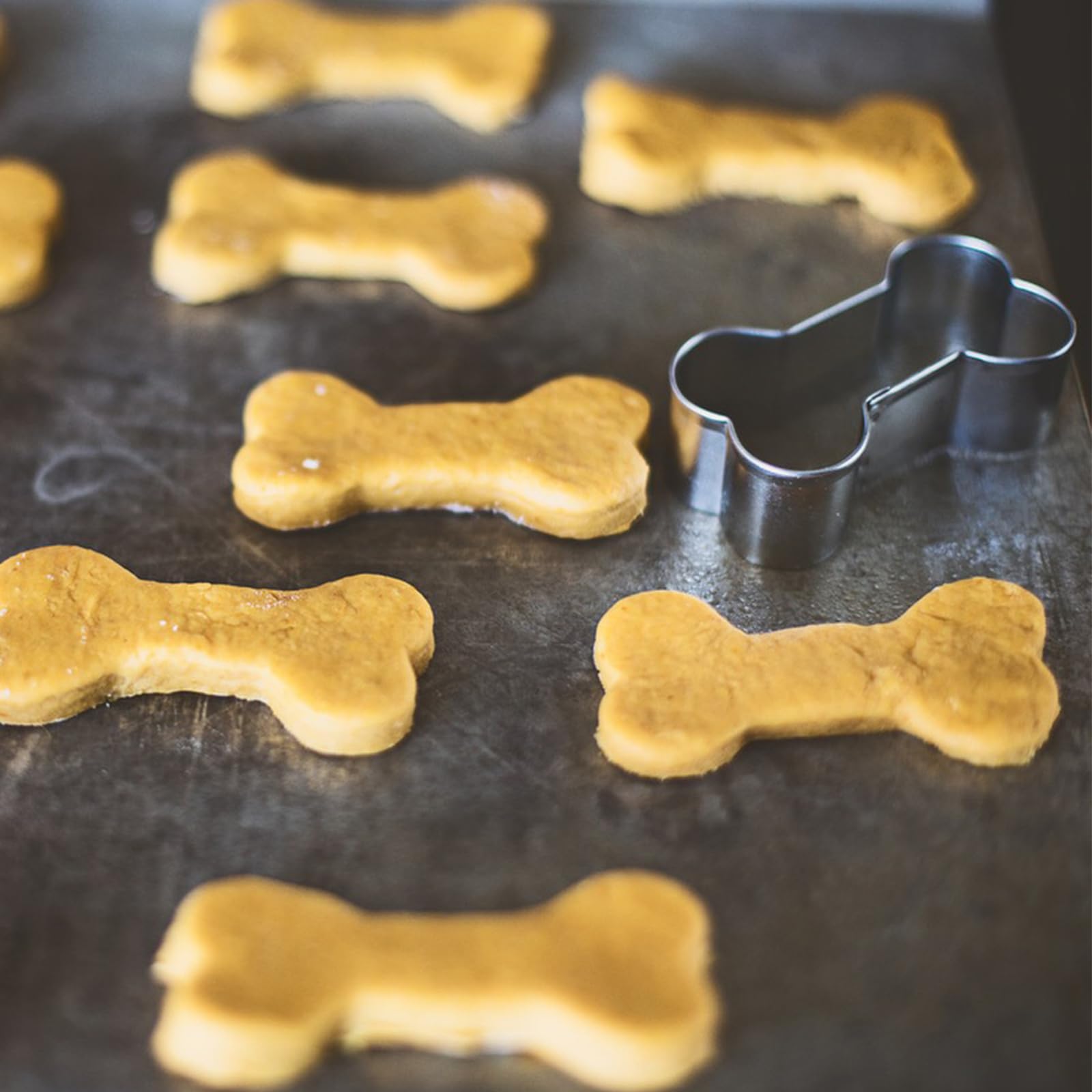 Dog treats Cutters Set 6 Pieces Dog Cookie Cutter sets Different Sizes Mini Small Medium Big Cut Out for Homemade Treats and Baking