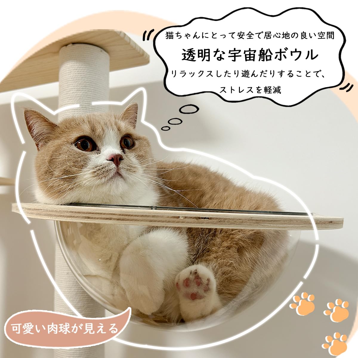 Amazon | 日本メーカー RAKU 猫タワー 木製キャットタワー