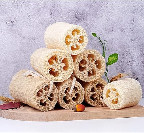 Miniatura 2 de Greener Clean - Paño limpio para lavar platos y limpiar la cocina, 3 toallas de esponja de calabaza (3 esponjas de lufa)