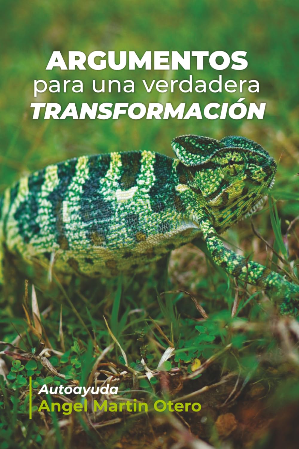 Argumentos para una verdadera transformación