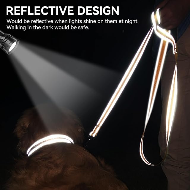 Foto 4 de 6 de Joytale Correa para Perro Reflectante de Doble Cara, Correa para Perros con Mango Acolchado