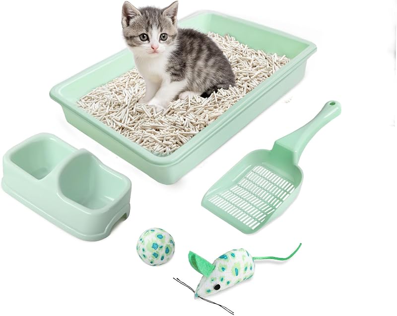 Kit para Gatos com Caixa de Areia, Pá, Tigela Dupla e Brinquedos PAWISE Verde (Small)